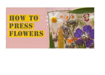 How To Press Flowers