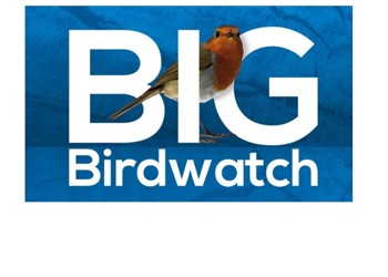 Birdwatch Weekend