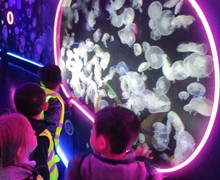 Aquarium blog (6)