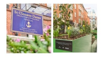 Westminster's First School Parklet!