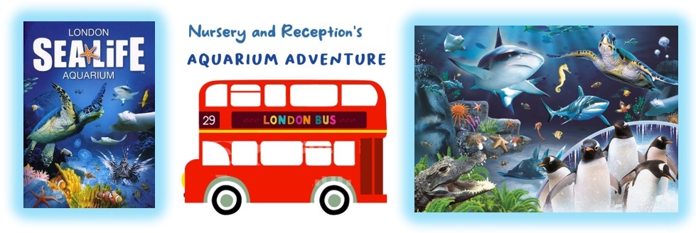 Aquarium blog header pic