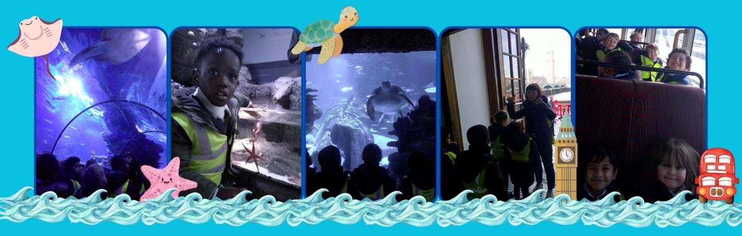 Aquarium blog pic 2