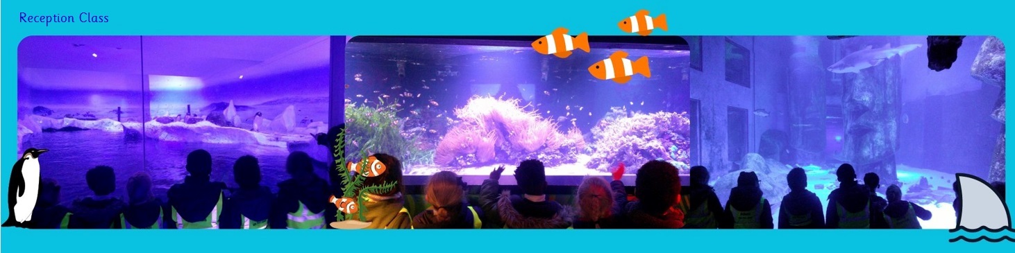 Aquarium blog pic 1