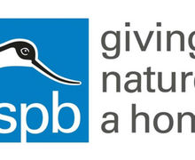 6. RSPB  edit