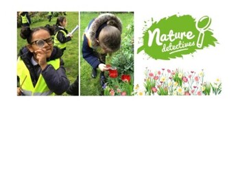 Year 1 Nature Detectives