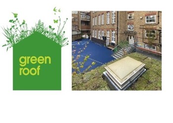Our New Green Roof!