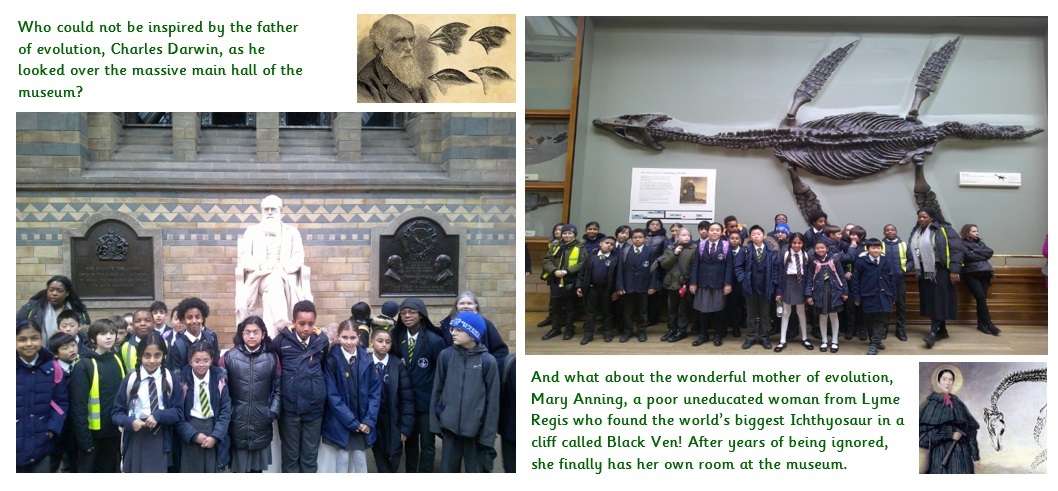 Natural History Museum   evolution and inheritance   Year 6, blog 4