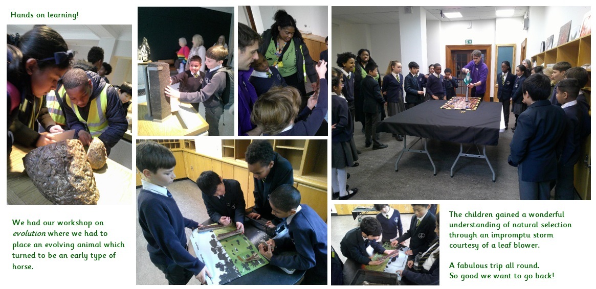Natural History Museum   evolution and inheritance   Year 6, blog 6