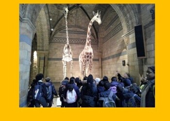 The Natural History Museum