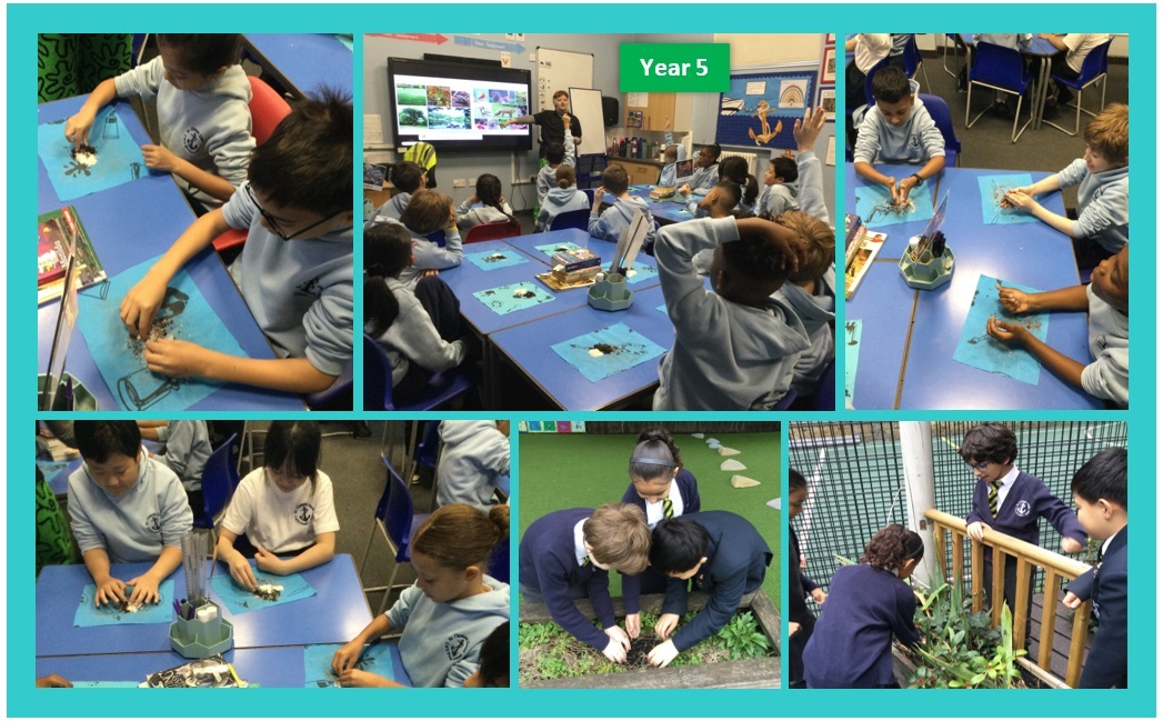 Y5 workshop   eco active