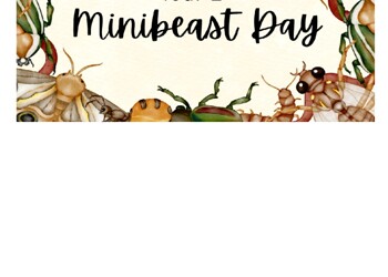 Year 2 Minibeast Day