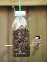 Bird feeder